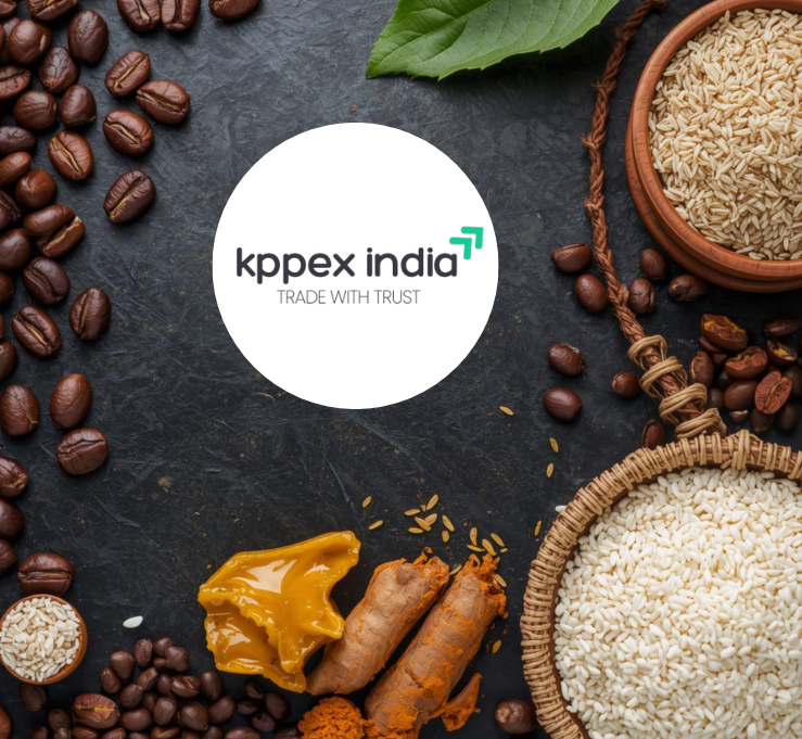 KPPEX India Private Limited